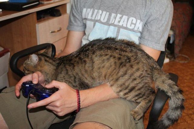 Fotos divertidas que te hacen reir