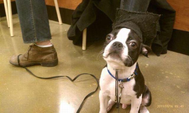 Fotos divertidas que te hacen reir