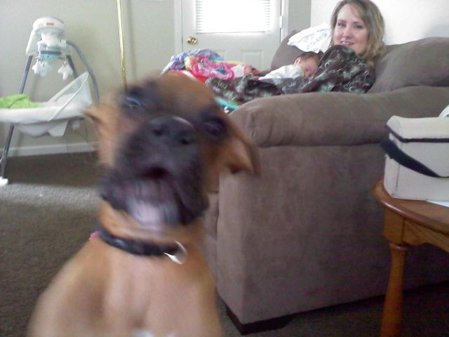 Fotos divertidas que te hacen reir