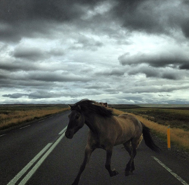 Obras de los ganadores del 7° concurso de fotos con iPhone 17