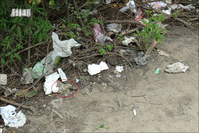 Lugar sexual para los gays chinos en Beijing