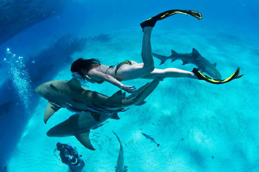 Mujer en bikini nada con tiburones