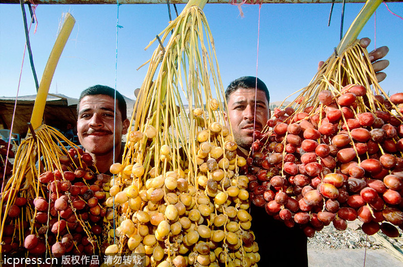 Visitas a Siria, un país de civilización bella fuera de la guerra