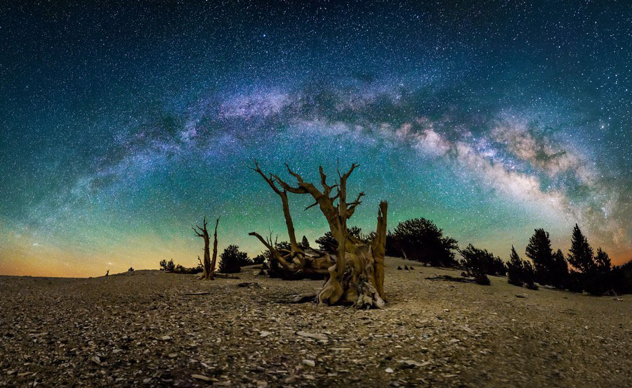 Los cielos más estrellados de Michael Shainblum