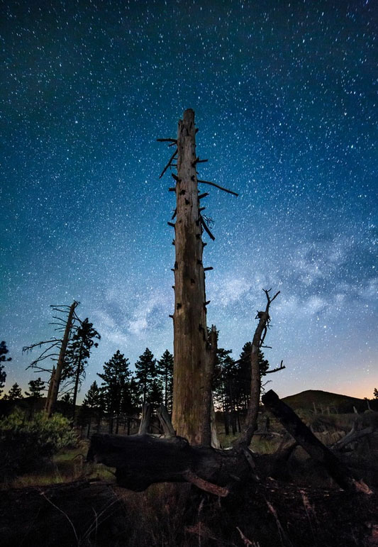 Los cielos más estrellados de Michael Shainblum