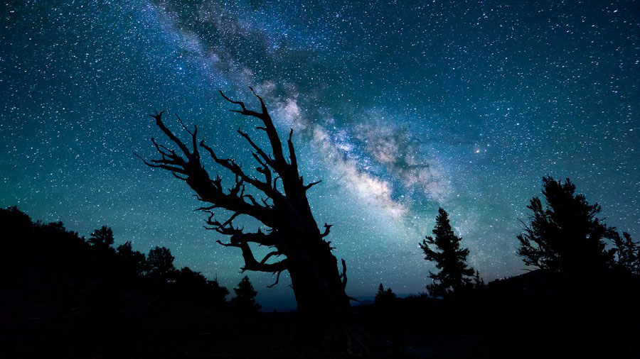 Los cielos más estrellados de Michael Shainblum