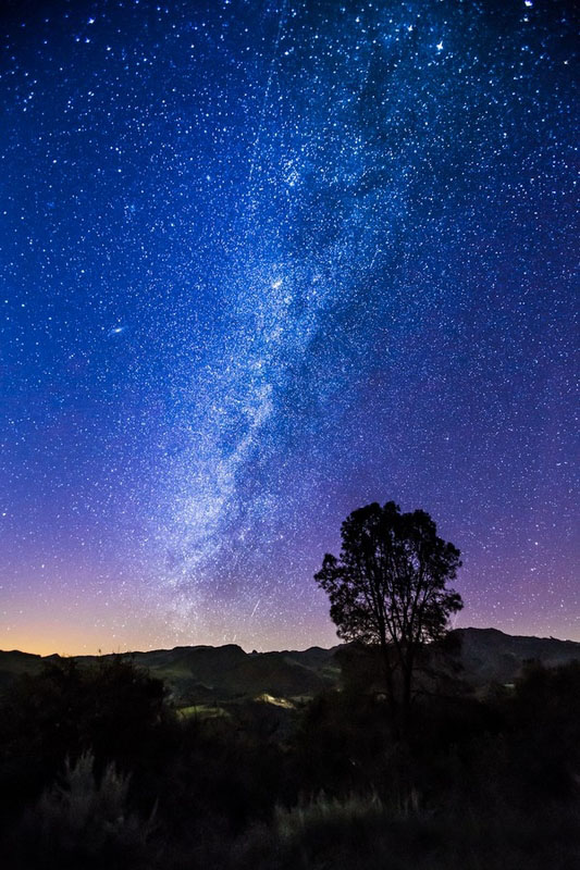 Los cielos más estrellados de Michael Shainblum