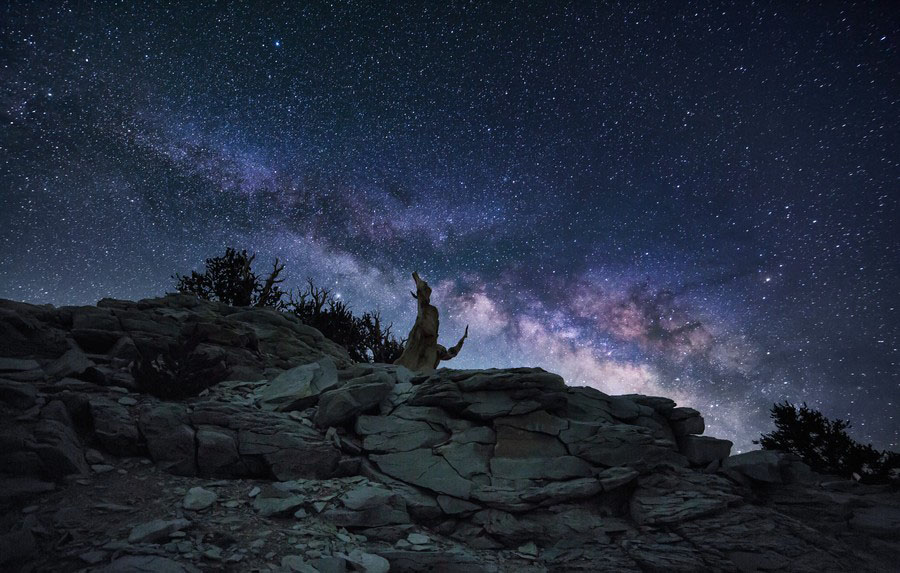 Los cielos más estrellados de Michael Shainblum