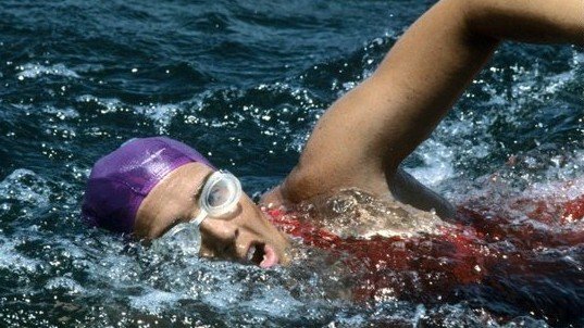 Nadando de Cuba a Florida, Diana Nyad ha logrado la hazaña de su vida1