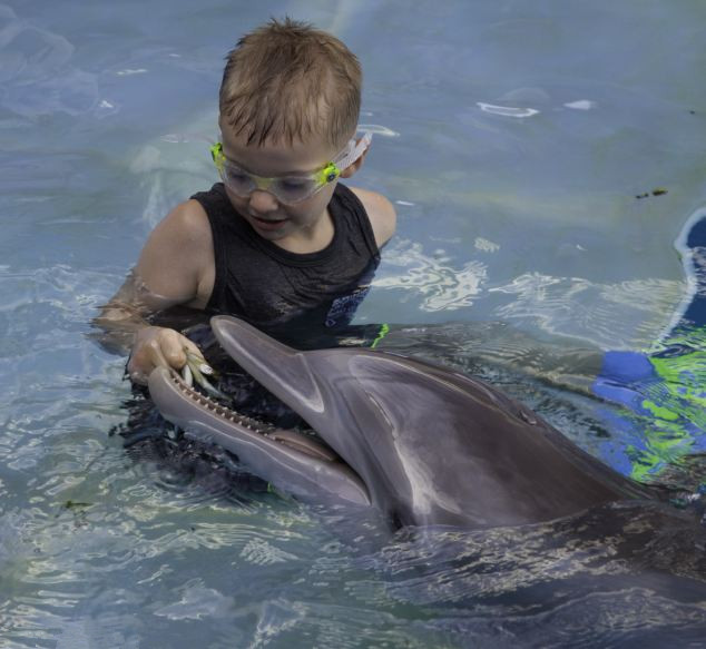 Niños de 8 años quien perdió las dos piernas nada con un delfin