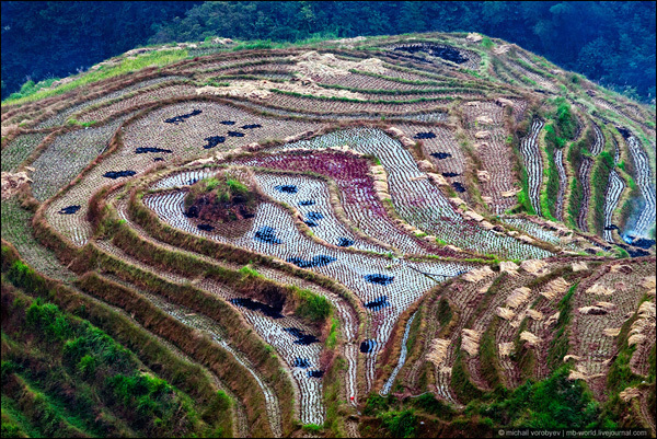 China en ojos de un fotógrafo extranjero6