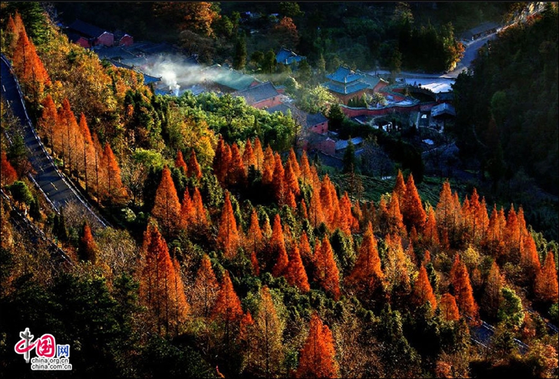 La Montaña Wudang extiende su encanto más deslumbrante en otoño1