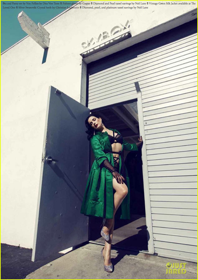Dita Von Teese,modelo erótica más sexy del mundo 3