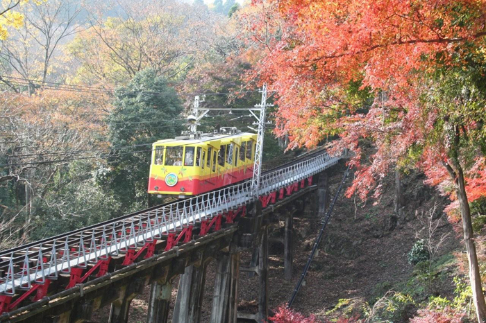 Conoce a Tokio, ciudad sede de los Juegos Olímpicos 2020 15