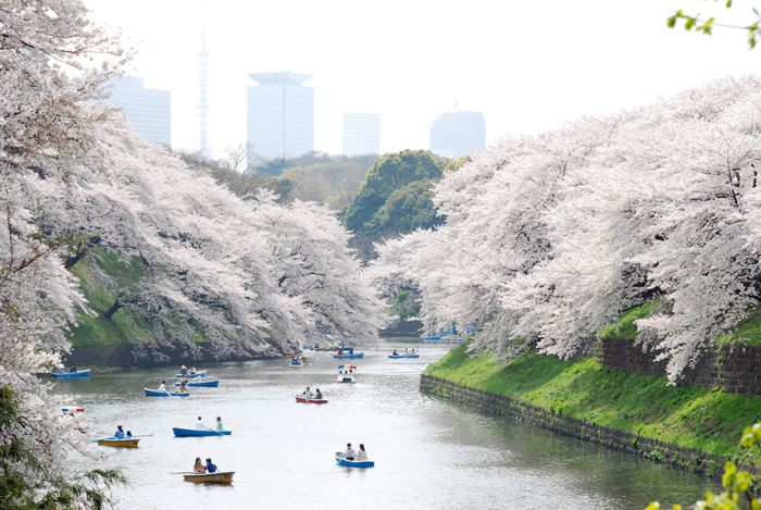 Conoce a Tokio, ciudad sede de los Juegos Olímpicos 2020 19