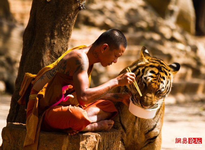 Templo de los Tigres de Kanchanaburi en Tailandia