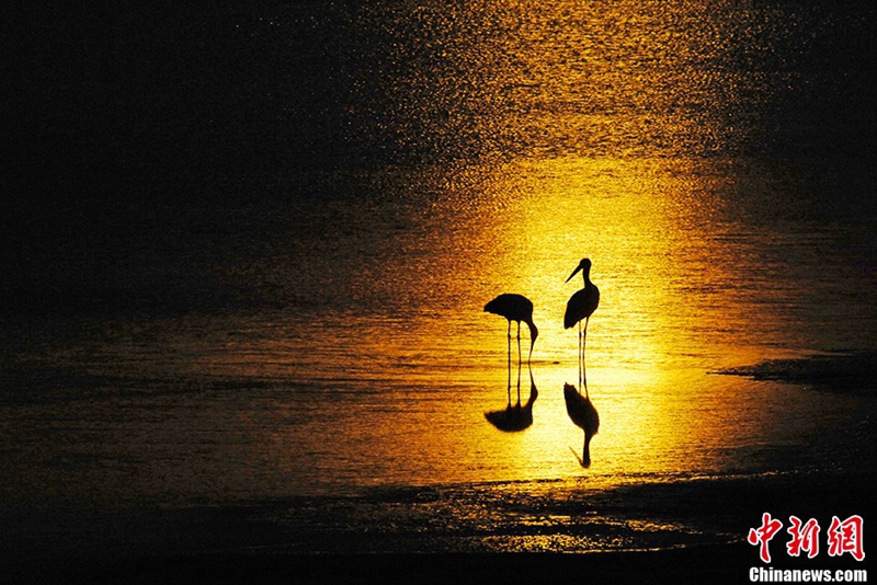 Fotografías premiadas de la tierra divina china3