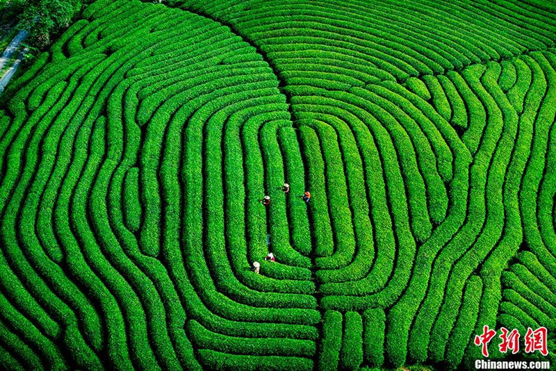 Fotografías premiadas de la tierra divina china8