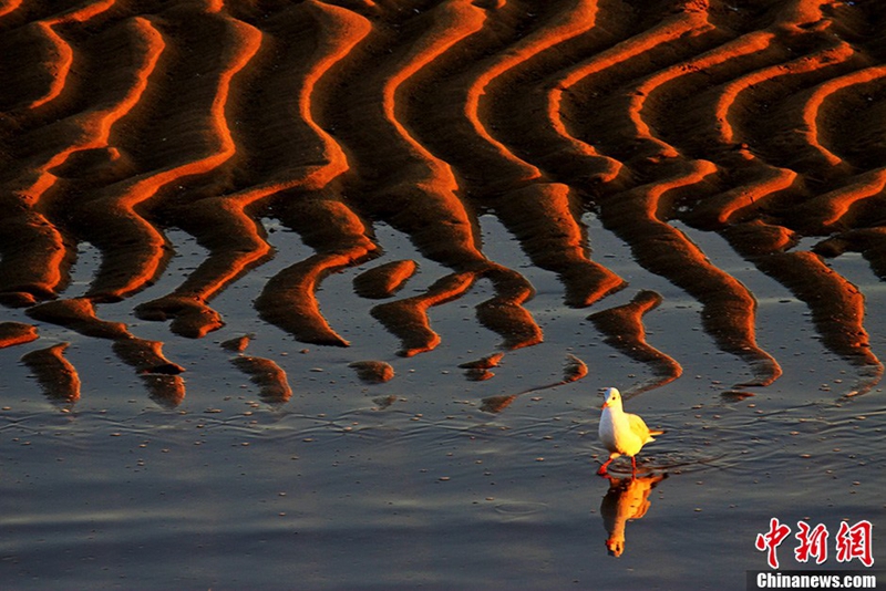 Fotografías premiadas de la tierra divina china10