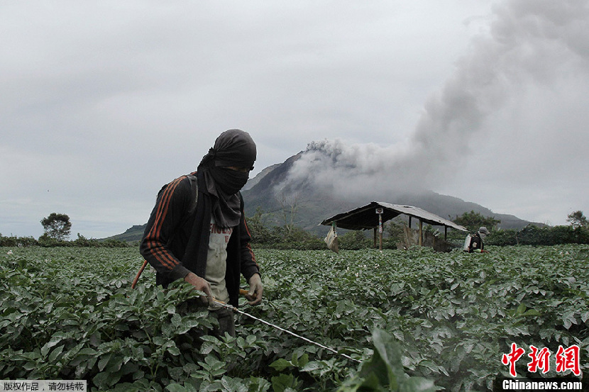Alerta en Indonesia por erupción volcánica
