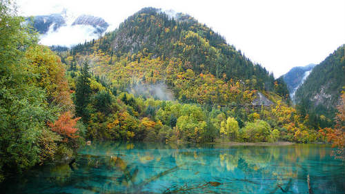 Lago Five Florwer, China.