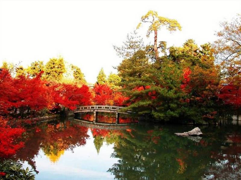 La Colina Perfumada de Beijing, mejor destino para apreciar hojas rojas en otoño3