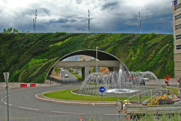 Puente Max Juvenal