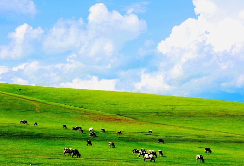 Escapadas de fin semana pradera Hulunbuir 4