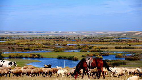 Escapadas de fin semana pradera Hulunbuir 7