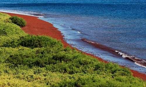 10 playas multicolores alrededor del mundo