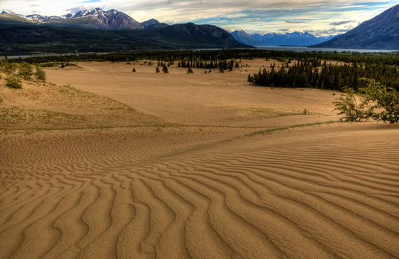 Desierto de Carcross