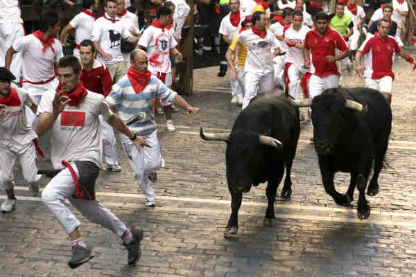 toros toros