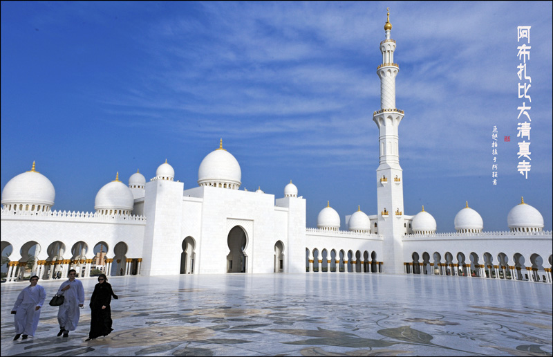 Visitas hermosas de la Mezquita Sheikh Zayed de Emiratos Árabes Unidos 10