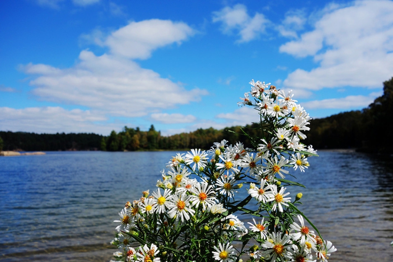 Los mejores paisajes del norte de Ontario 2