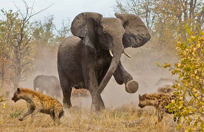 Las mejores fotos del Concurso de Foto de National Geographic Traveler 3