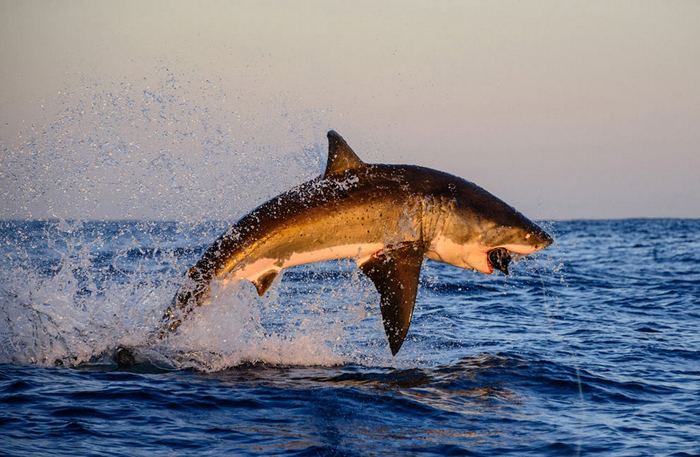 Las mejores fotos del Concurso de Foto de National Geographic Traveler 15