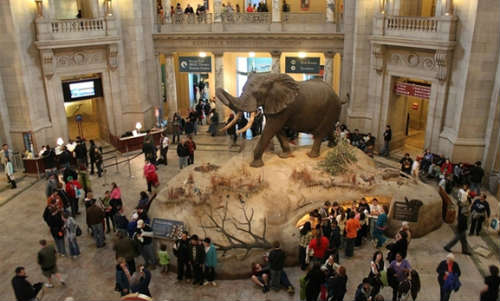 National Museum of Natural History. Washington, DC. 