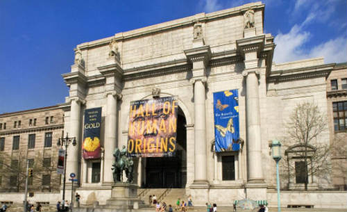 American Museum of Natural History. Nueva York. 