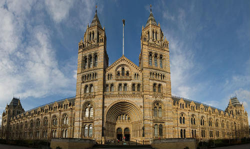 Natural History Museum. Londres. 