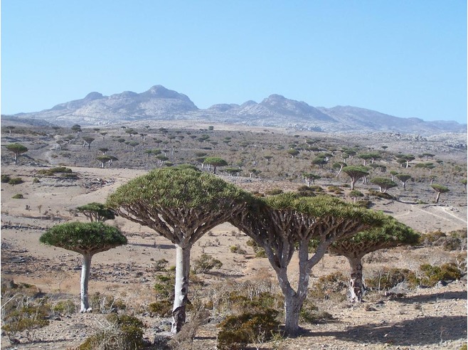 Paisajes mágicos e increíbles hecho por la naturaleza