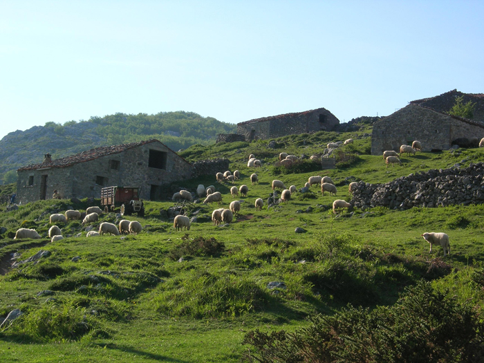 El parque nacional más hermoso de España —— Parque Nacional de los Picos de Europa 2