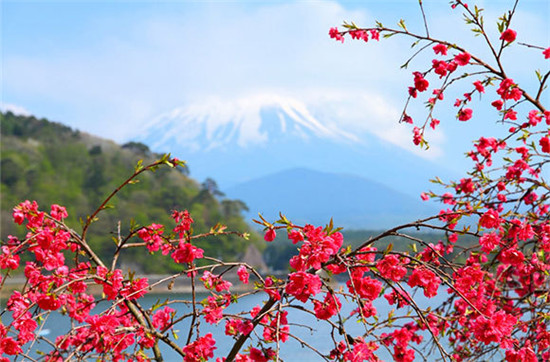 Parque Nacional Fuji-Hakone-Izu, Japón