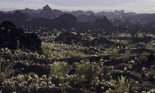 El Pinacate y el Gran Desierto de Altar