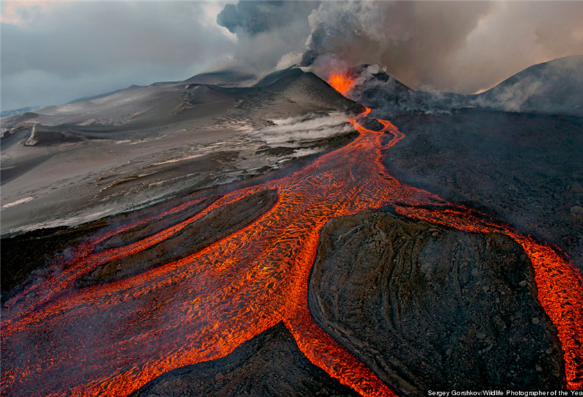 Presentan imágenes ganadoras del concurso de fotografía salvaje