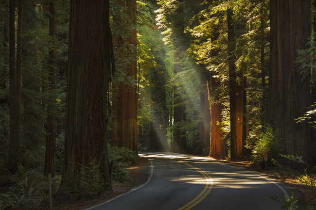 Top 10 carreteras para hacer un viaje 7