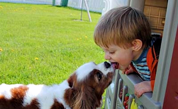 Fotos graciosas entre bebés y mascotas