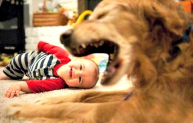 Fotos graciosas entre bebés y mascotas