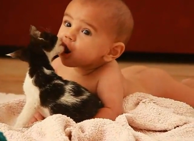 Fotos divertidas de bebé y mascota: &apos;mamá, estoy hambre&apos;