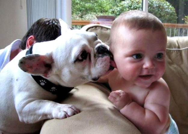Fotos divertidas de bebé y mascota: &apos;mamá, estoy hambre&apos;