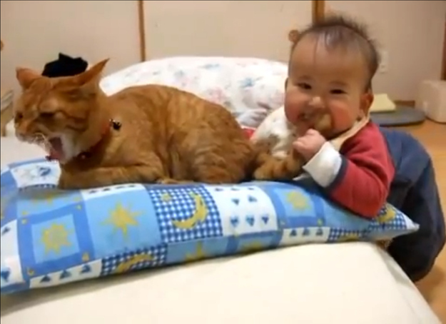 Fotos divertidas de bebé y mascota: &apos;mamá, estoy hambre&apos;